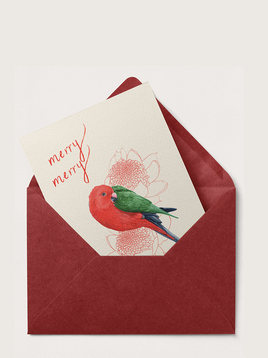hollie m kelley merry merry christmas card with king parrot and waratah