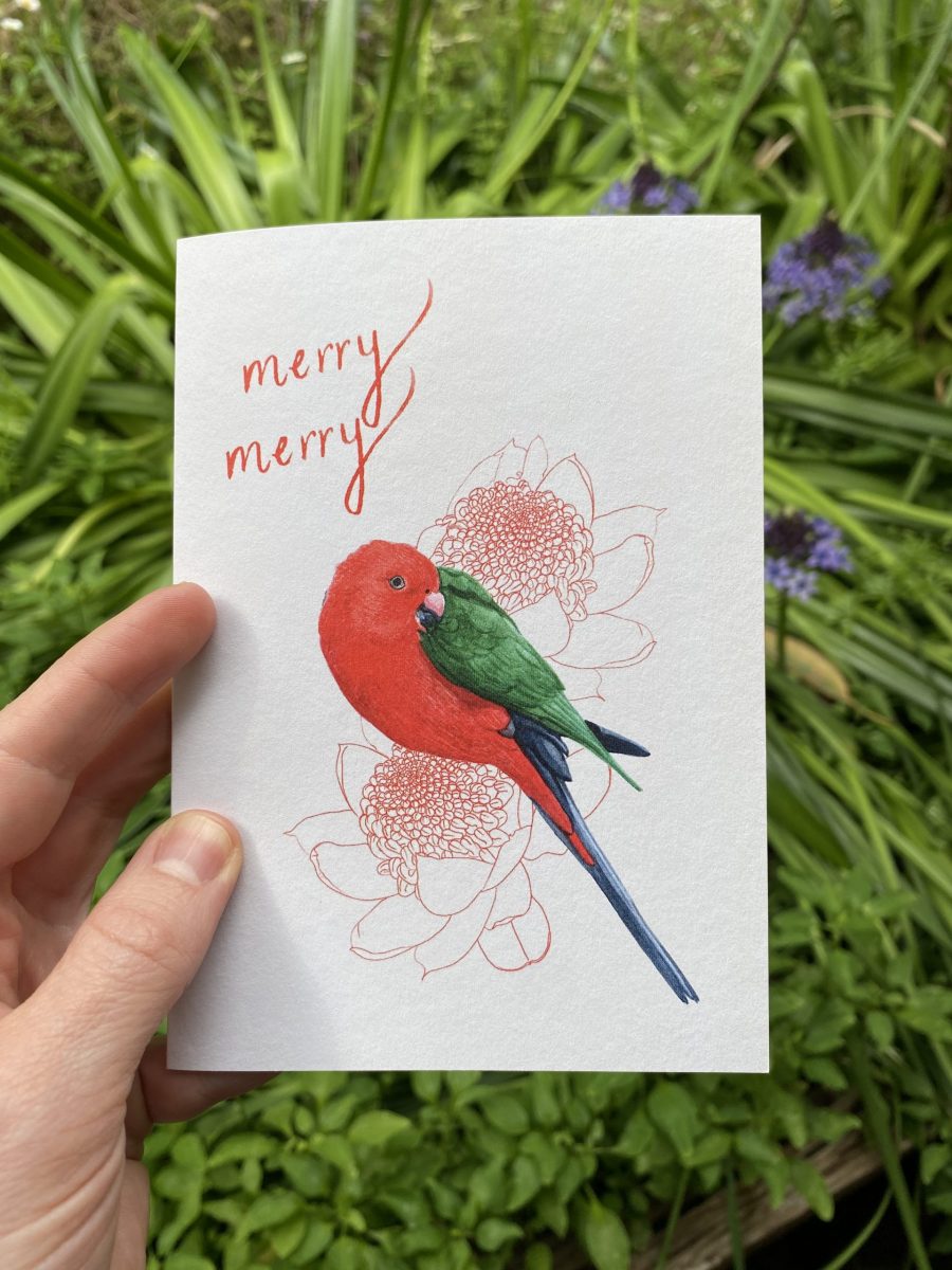 hollie m kelley merry merry christmas card with king parrot and waratah