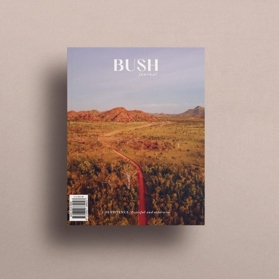 bush journal 07 cover